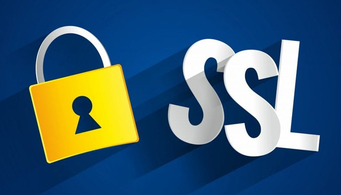 Nên mua chứng chỉ SSL loại nào cho website?